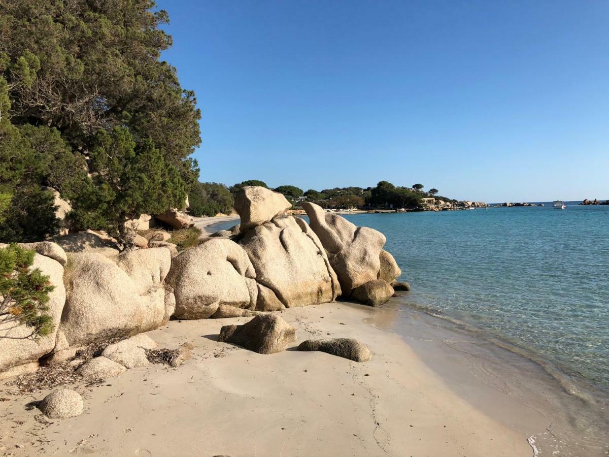 Villa Orethaga Piscine 10 Pers Porto Vecchio Экстерьер фото